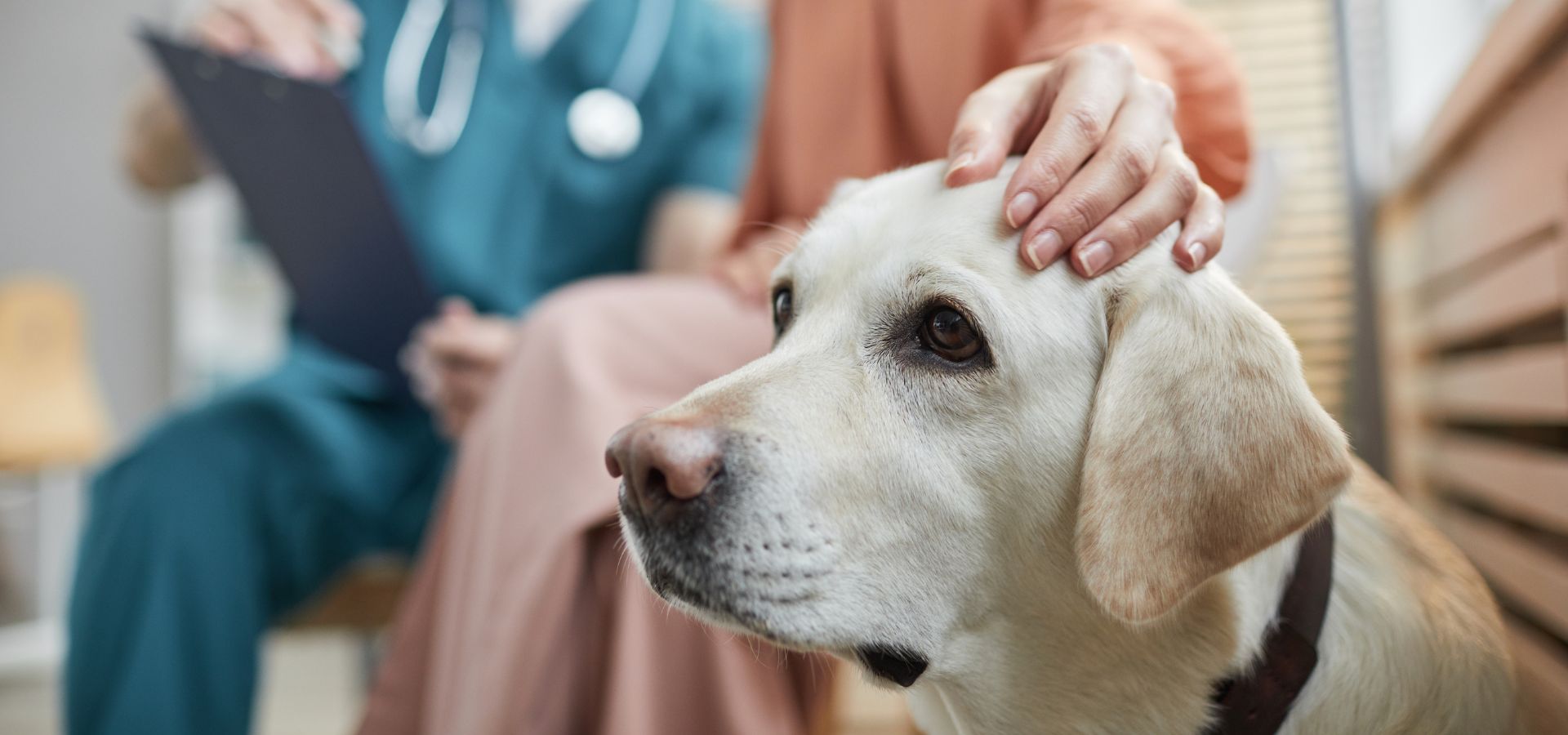 New Client Form Chickamauga Veterinary Clinic