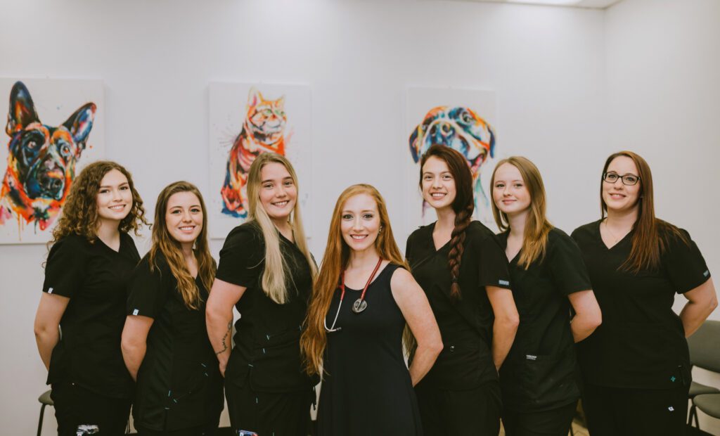 Veterinarian In Chickamauga, GA Chickamauga Veterinary Clinic